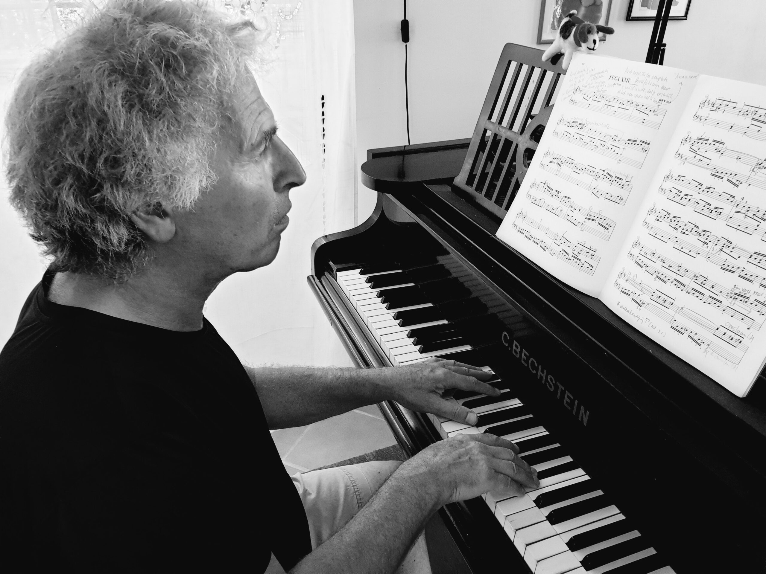 Marcel Worms - pianist